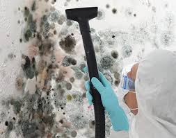 Best Emergency Mold Remediation  in Rockwell, AR